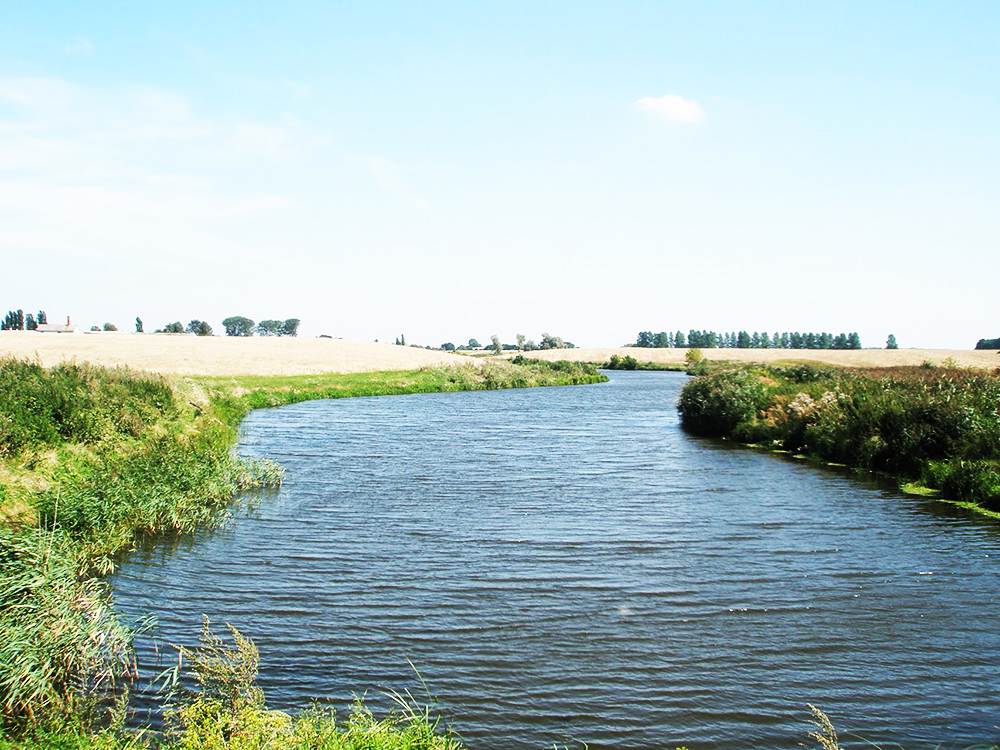 р. Серна побл. смт Торчин